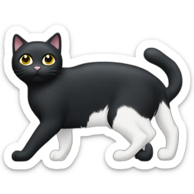 black cat with a white spot on his neck wearing a nike tech sticker