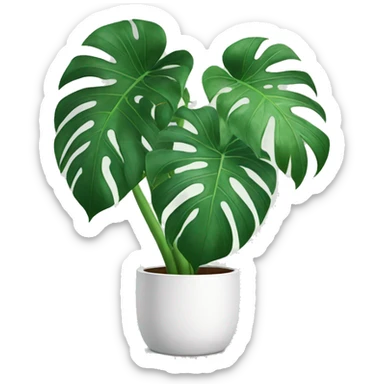 Monstera plant in a white planter  sticker