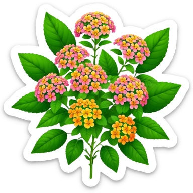 big bouquet Lantana flower, stem, leaf sticker
