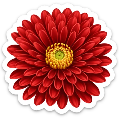 chrysanthemum flower full red sticker