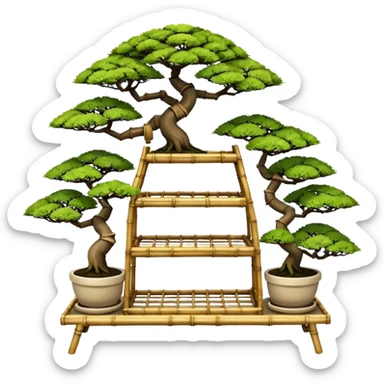 Wide Three tiered bonsai planters stand, shelving holding nine specimens, frame made of one inch thick bamboo  sticker