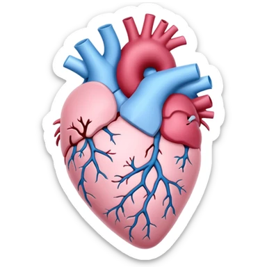 White and sky blue Anatomical heart with light pink rose without leaves  sticker