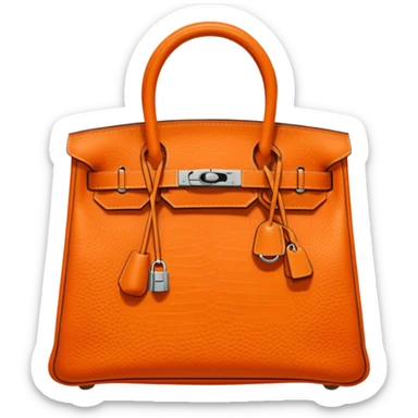 rare hermes bag sticker