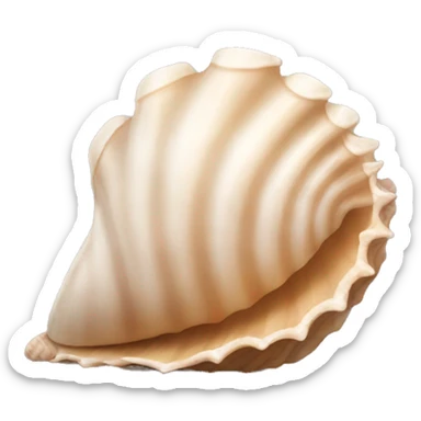 Seashell sticker