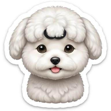 white baby Bichon Frise only face  sticker