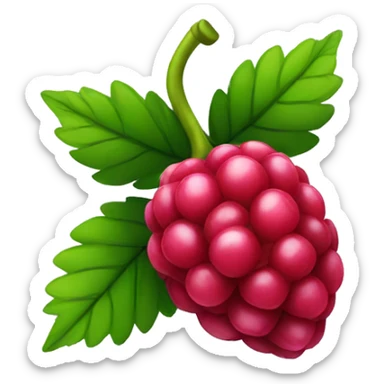 Raspberry  sticker