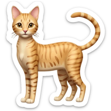 A 3D cartoon golden tabby Savannah cat with elegant long legs, gentle stripes, dynamic pose, cinematic Memoji-style lighting. full body or half body. sticker