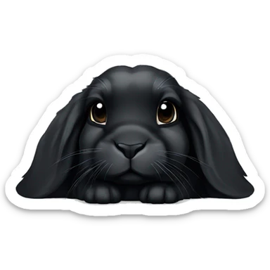 black holland lop bunny laying down sticker