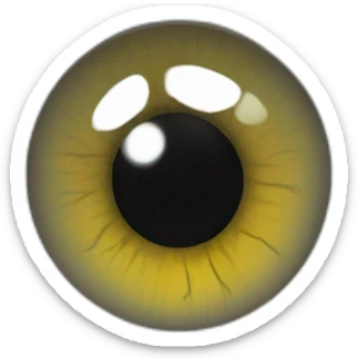 anatomy eye scheme sticker