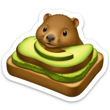 Capybara eating avocado toastc sticker