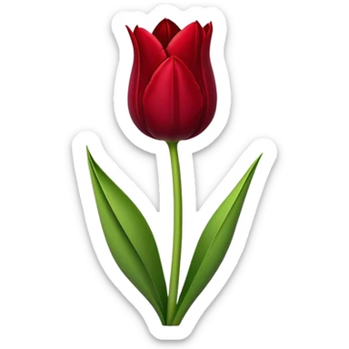 Dark red tulip sticker