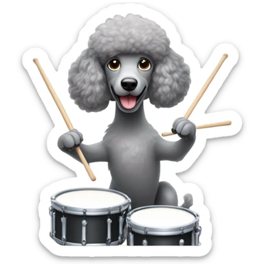 Grey poodle playing drummer sticker