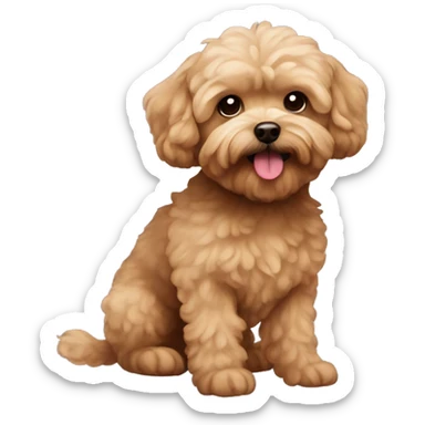 Brown maltipoo sticker