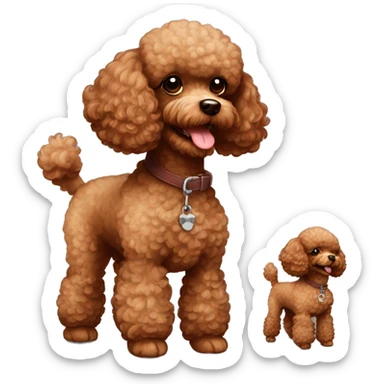 Toy poodle red brown  sticker