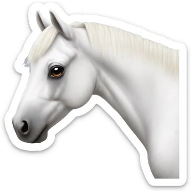 White appaloosa horse sticker