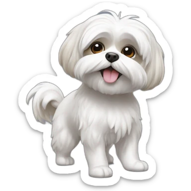 Shitzu blanc, gris et roux qui danse sticker