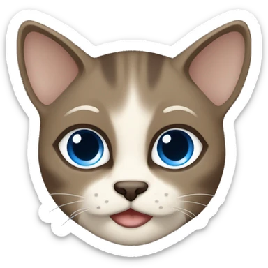 Dark Brown face - beige body and ears female siamise cat with blue eyes  sticker