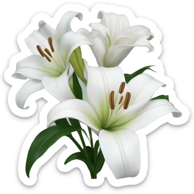 White lilies ￼ sticker