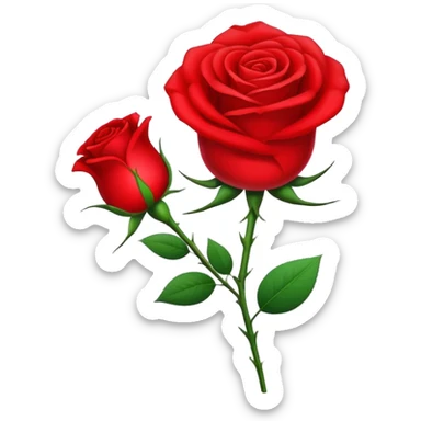 Socialist International with rose sticker