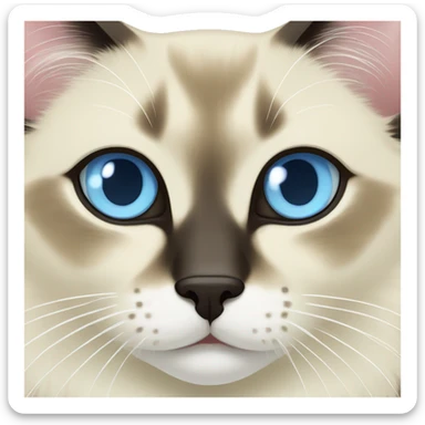 Balinese cat face with light blue eyes sticker