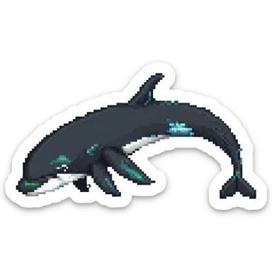 orca whale sticker