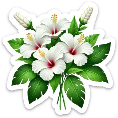 bouquet white Hawaiian hibiscus, luxuriant, stem, leaf, bud sticker
