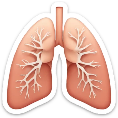 Lungs sticker