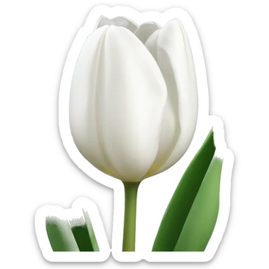 white tulips sticker
