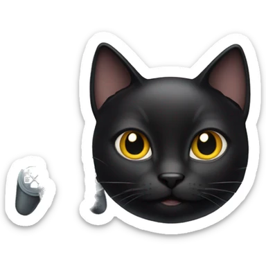 A Black Cat With a psp sticker