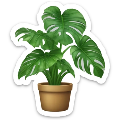 Monstera deliciosa  sticker