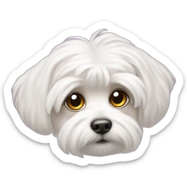Maltese sticker