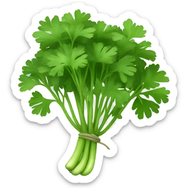 Cilantro  sticker