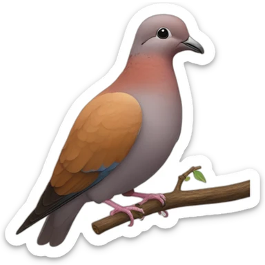 Cinnamon Ringneck Dove holding a twig in his beak sticker