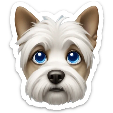 Maltase dog with one blue eye  sticker