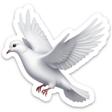 A postcard with a dove sticker