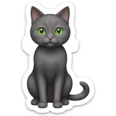 full body gorgeous solid dark grey cat with green eyes, white paws and white whiskers playing sticker
