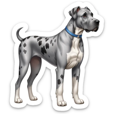 Great Dane, gray Merle  sticker
