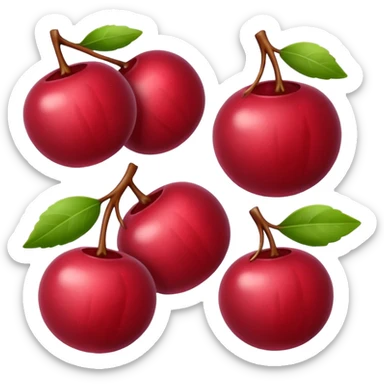 cranberries sticker