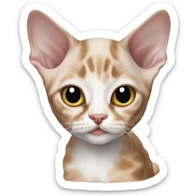 Devon rex kitten sticker