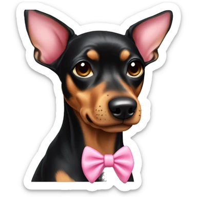 black tan pinscher big ears pink bow sticker