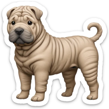 Grey shar pei dog standing sticker