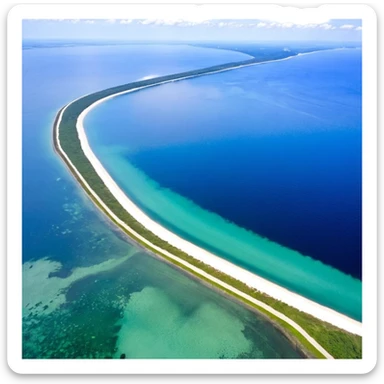 весела панда в шляпі sticker