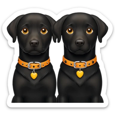 2 black labradors yellow and orange dog collar sticker