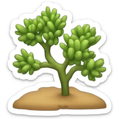 semi-arid vegetation sticker