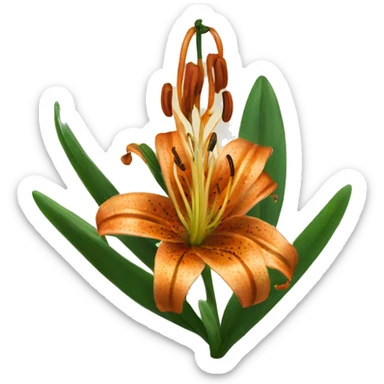 tiger lily sticker