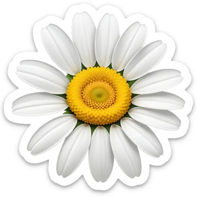 daisy flower sticker