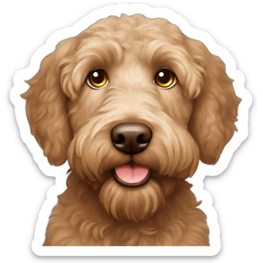 Labradoodle brown apricot straight coat with big ears brown eyes sticker