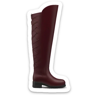 burgundy long boots with no fade and a leather material  sticker