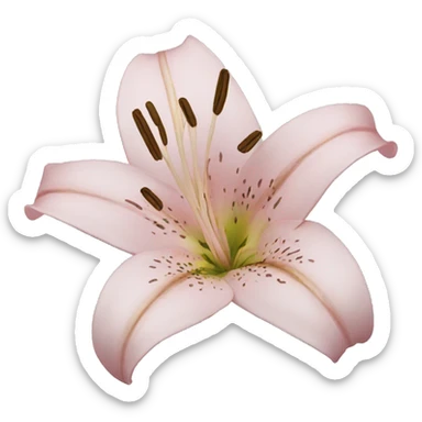 Lilies  sticker