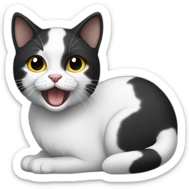 one cat black and white and onde cat full back sticker